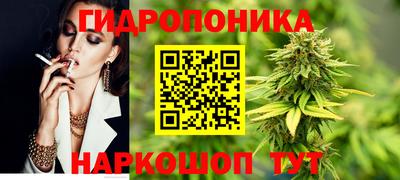 амф Севастополь