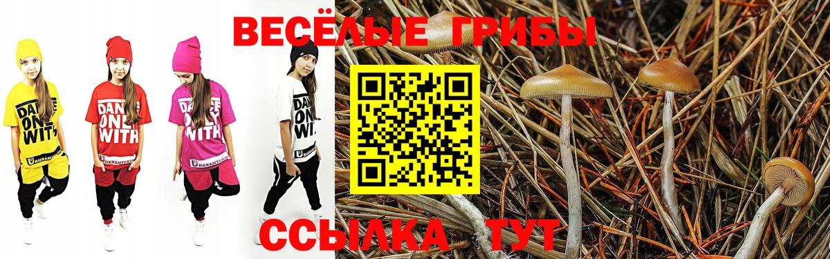 Печора  Псилоцибиновые грибы Cubensis  Псилоцибиновые грибы прущие грибы  Вход с VPN 