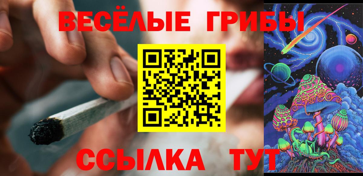 Галлюциногенные грибы Cubensis Печора